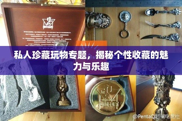 私人珍藏玩物专题,揭秘个性收藏的魅力与乐趣