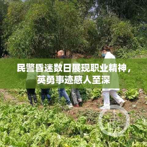 民警昏迷数日展现职业精神,英勇事迹感人至深