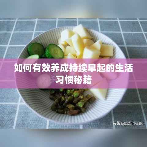 如何有效养成持续早起的生活习惯秘籍