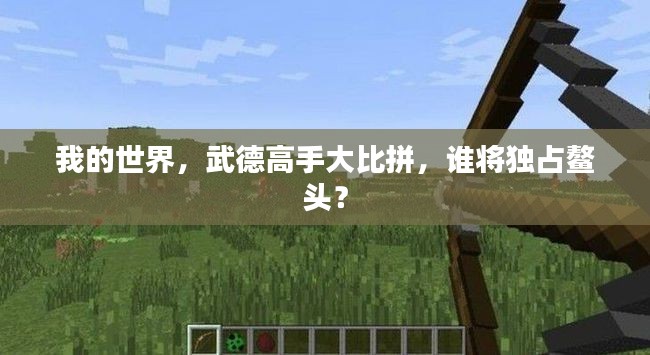 我的世界,武德高手大比拼,谁将独占鳌头?