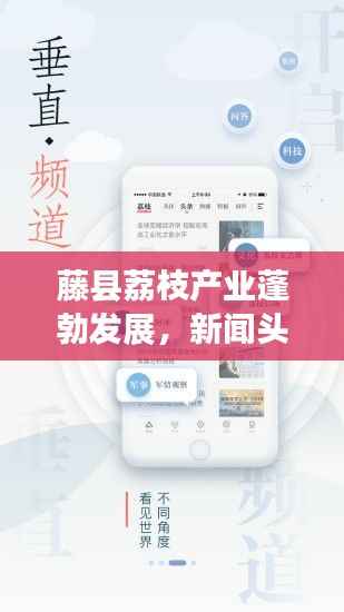 藤县荔枝产业蓬勃发展，新闻头条揭示甜蜜产业新动向