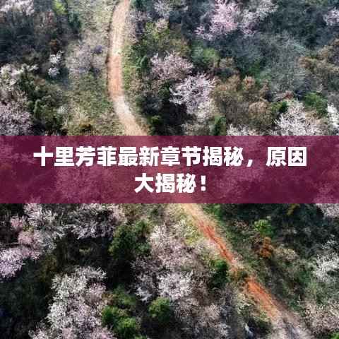 十里芳菲最新章节揭秘,原因大揭秘!