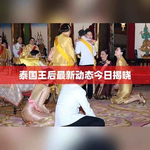 落土飞岩 第3页