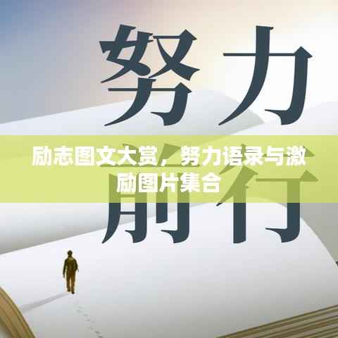 励志图文大赏,努力语录与激励图片集合