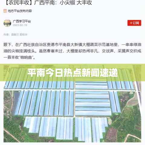 平南今日热点新闻速递
