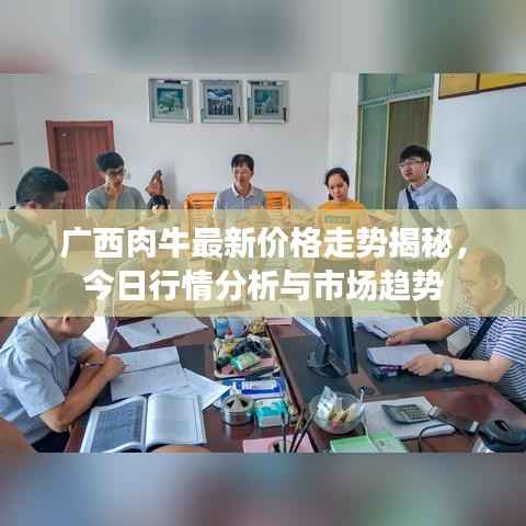 笼鸟槛猿 第2页