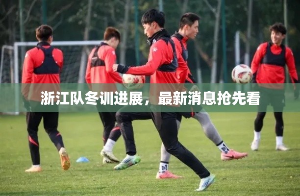 浙江队冬训进展,最新消息抢先看
