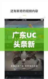 广东UC头条新闻,聚焦热点,掌握最新动态资讯