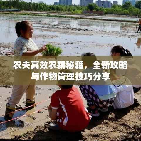 农夫高效农耕秘籍,全新攻略与作物管理技巧分享