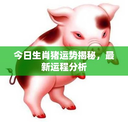 今日生肖猪运势揭秘,最新运程分析