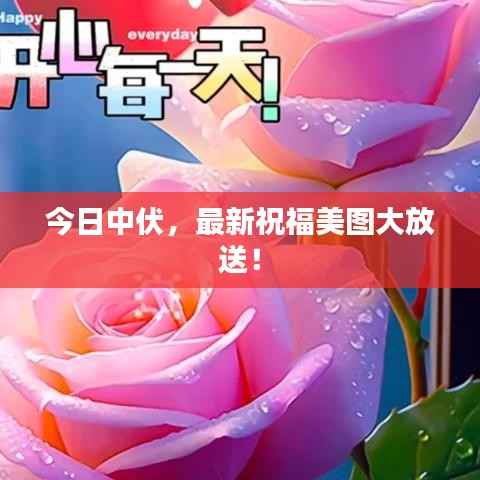 今日中伏，最新祝福美图大放送！