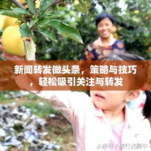 慎重其事 第2页