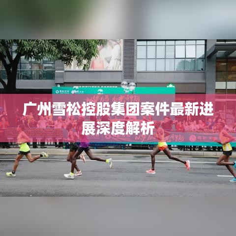 广州雪松控股集团案件最新进展深度解析