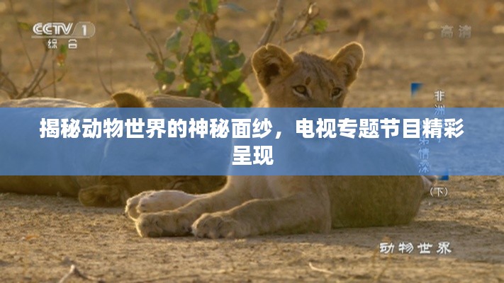 眉目如画 第2页