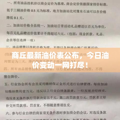 商丘最新油价表公布,今日油价变动一网打尽!