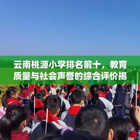 云南桃源小学排名前十,教育质量与社会声誉的综合评价揭秘