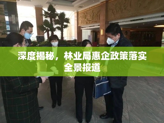 深度揭秘,林业局惠企政策落实全景报道