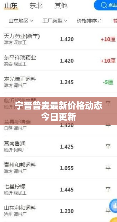 宁晋普麦最新价格动态今日更新