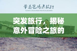 突发旅行,揭秘意外冒险之旅的魅力与惊喜!