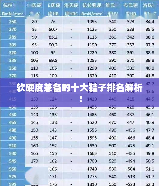 软硬度兼备的十大鞋子排名解析!