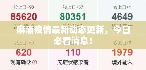 麻涌疫情最新动态更新,今日必看消息!
