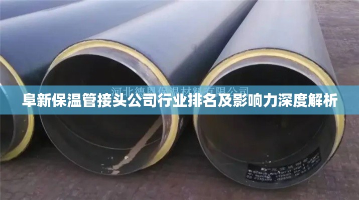 阜新保温管接头公司行业排名及影响力深度解析
