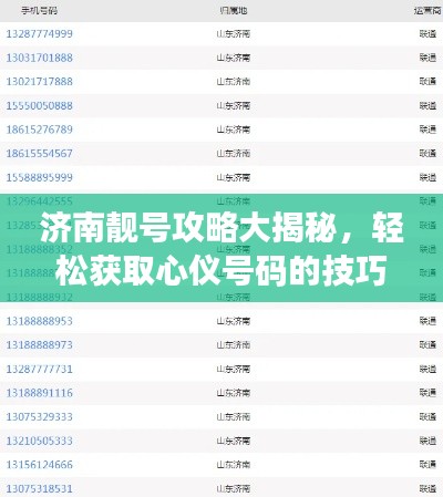 济南靓号攻略大揭秘,轻松获取心仪号码的技巧!