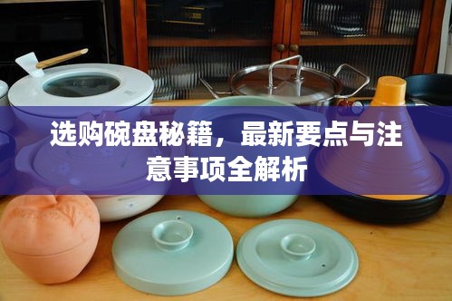 选购碗盘秘籍,最新要点与注意事项全解析