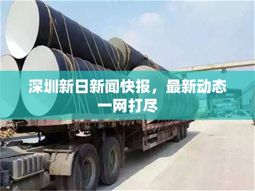 深圳新日新闻快报,最新动态一网打尽