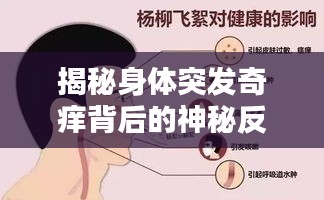 揭秘身体突发奇痒背后的神秘反应原因