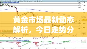黄金市场最新动态解析，今日走势分析与预测，黄金大涨在即？