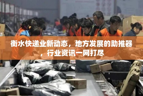衡水快递业新动态,地方发展的助推器,行业资讯一网打尽