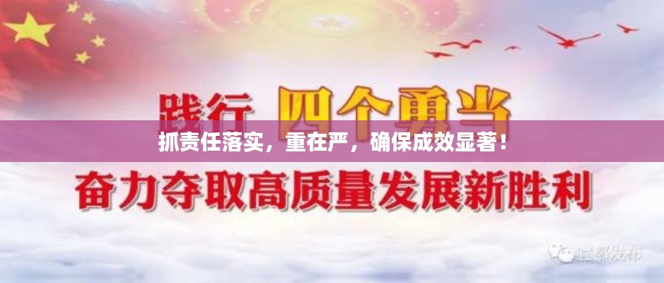 抓责任落实，重在严，确保成效显著！