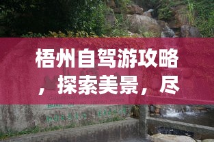 梧州自驾游攻略,探索美景,尽享自驾乐趣!