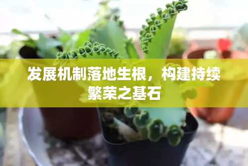 发展机制落地生根，构建持续繁荣之基石