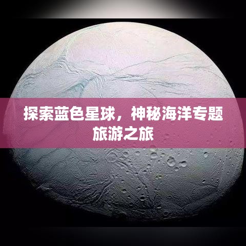 探索蓝色星球,神秘海洋专题旅游之旅